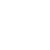 PhoneIcon